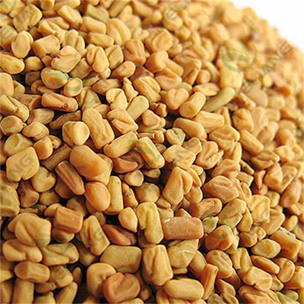 Fenugreek Extract